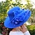cheap Hats-Women&#039;s Basic Party Street Daily Party Hat Solid Colored Flower Black White Hat Portable Sun Protection Breathable / Blue / Fall / Winter / Spring / Summer