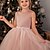 cheap Girls&#039; Dresses-Kids Little Girls&#039; Tutu flower Dress Solid Colored Party Wedding Special Occasion Backless Ruched Mesh Pink Lace Maxi Sleeveless Elegant Princess Beautiful Dusty rose Regular Fit 3-10 Years
