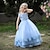 cheap Girls&#039; Dresses-Kids Little Girls&#039; Dress Plain Special Occasion Birthday Tulle Dress Mesh Lace Trims Blue White Pink Maxi Sleeveless Beautiful Cute Dresses Spring Summer Children&#039;s Day Slim 4-13 Years