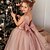 cheap Girls&#039; Dresses-Kids Little Girls&#039; Tutu flower Dress Solid Colored Party Wedding Special Occasion Backless Ruched Mesh Pink Lace Maxi Sleeveless Elegant Princess Beautiful Dusty rose Regular Fit 3-10 Years