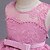 cheap Girls&#039; Dresses-Kids Little Girls&#039; Dress Jacquard Solid Colored Party Birthday Tulle Dress Mesh White Pink Wine Maxi Sleeveless Princess Sweet Dresses Spring Summer 1 PC Slim 3-10 Years