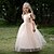 cheap Girls&#039; Dresses-Princess Tulle Party Dress for Girls 4-13 Years