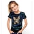 billige jentes 3d t-skjorter-Jente 3D Katt T skjorte Kortermet 3D-utskrift Sommer Aktiv søt stil Polyester Barn 3-12 år utendørs Daglig Normal
