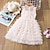 cheap Girls&#039; Dresses-Kids Little Girls&#039; Dress Solid Colored Lace Trims Print White Blushing Pink Knee-length Sleeveless Active Dresses Summer Regular Fit 5-12 Years