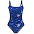 cheap One Piece-Women&#039;s Swimwear One Piece Monokini Bathing Suits Normal Swimsuit Print Floral Print High Waisted Blue Strap Padded Bathing Suits Vacation Sexy Sports / New