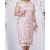 cheap Plus Size Dresses-Women&#039;s Plus Size Floral A Line Dress Print Round Neck Short Sleeve Basic Casual Spring Summer Daily Weekend Midi Dress Dress