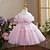 cheap Girls&#039; Dresses-Kids Little Girls&#039; Dress Solid Colored Party Performance A Line Dress Mesh Bow Pink Asymmetrical Tulle Cotton Sleeveless Princess Sweet Dresses Spring Summer Regular Fit 3-12 Years
