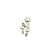 economico Anelli trendy-1 pc Anello regolabile For Perle Per donna Bianco Placcato in oro 18k