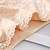 cheap Super Sale-Women's High-Waisted Lace Flower Brief Underwear