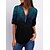 cheap Women&#039;s Blouses-Women&#039;s Basic Casual V-Neck Long Sleeve Blouse