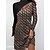 cheap Casual Dresses-Women&#039;s Sheath Dress Mini Dress Brown Print Long Sleeve Winter Fall Zipper Modern Stand Collar Winter Dress Fall Dress 2023 S M L XL