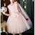 cheap Girls&#039; Dresses-Kids Little Girls&#039; Dress Solid Colored Party Performance A Line Dress White Pink Champagne Asymmetrical Cotton Sleeveless Princess Sweet Dresses Fall Winter Regular Fit 4-13 Years
