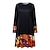 preiswerte Super Sale-Damen Casual kleid Sweatkleid Farbblock Bedruckt Rundhalsausschnitt Minikleid Basic Täglich Urlaub Langarm Frühling Herbst