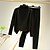 abordables Super Sale-Mujer Camiseta Camisetas Interiores Conjuntos de pantalones Camisa de tocar fondo Color sólido Casual Diario Negro Manga Larga Básico Cuello Barco Cuello Alto Otoño invierno