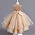 cheap Girls&#039; Dresses-Elegant Gold Sequin Tulle Midi Dress for Girls