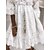 cheap Casual Dresses-Women&#039;s Daily Modern Lace Ruched V Neck Dress
