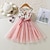 cheap Girls&#039; Dresses-Elegant Cotton A Line Dress for Girls 2-8 Years