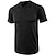 abordables Short Sleeve-Homme Chemise Henley Shirt T-shirt Henley Plein Plein Air Vacances Manches courtes Vêtement Tenue Design basique Moderne contemporain