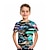 billige T-shirts &amp; Trøjer til Drenge-Børn Drenge T-shirt Kortærmet 3D-udskrivning 3D-udskrivning Grafisk Bil Let Sort Blå Regnbue Børn Toppe Sommer Aktiv Mode Sej 3-12 år