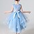 cheap Girls&#039; Dresses-Sequin Princess Dress for Girls 4-13 Years