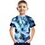 economico T-shirt e camicie bambino-Bambino Da ragazzo maglietta Tee Pop art Animali Lupo Manica corta Girocollo Top bambini Esterno Stampa 3D Sportivo Di tendenza Fantastico Estate Nero 2-13 anni