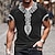 billige Short Sleeve-Herre T-shirt Rund hals Grafisk Strømmer Tøj 3D-udskrivning udendørs Daglig Trykt mønster Kortærmet Mode Designer Etnisk