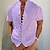 abordables Short Sleeves-hombre camisa a cuadros gráficocuello alto blanco rosa azul violeta verde al aire libre calle manga corta estampado ropa moda ropa de calle diseñador casual