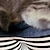 abordables camisetas 3d de niña-Chica 3D Graphic Caricatura Gato Camiseta Manga Corta Impresión 3D Verano Primavera Activo Moda Estilo lindo Poliéster Niños 3-12 años Exterior Casual Diario Ajuste regular