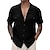 cheap Short Sleeves-Men&#039;s Basic Hawaiian Casual Summer Shirt