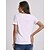 baratos Super Sale-Mulheres Camiseta Básico Diário Tecido Camiseta Decote V Verão Normal Preto Branco Vermelho Escuro Verde Claro Rosa