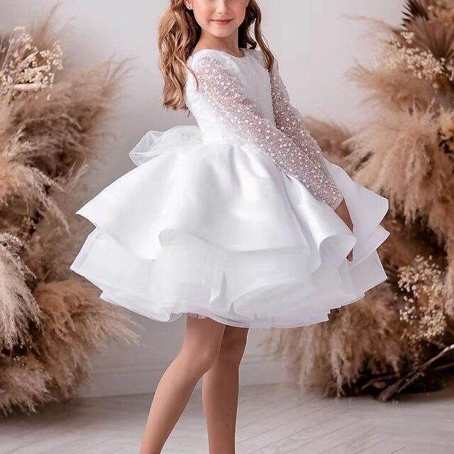  Kids Little Girls' Dress Polka Dot Solid Colored Performance A Line Dress Ruched Mesh White Above Knee Tulle Long Sleeve Princess Sweet Dresses Fall Spring Regular Fit 3-12 Years
