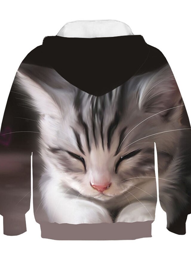  Kids Girls' Hoodie & Sweatshirt Long Sleeve Rainbow 3D Print Cat Print Print Cat 3D Animal Active Streetwear