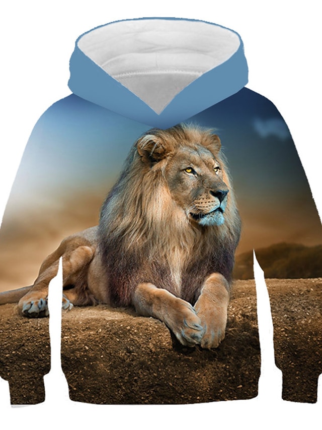  Boys' 3D Lion Print Hoodie Long Sleeve Polyester