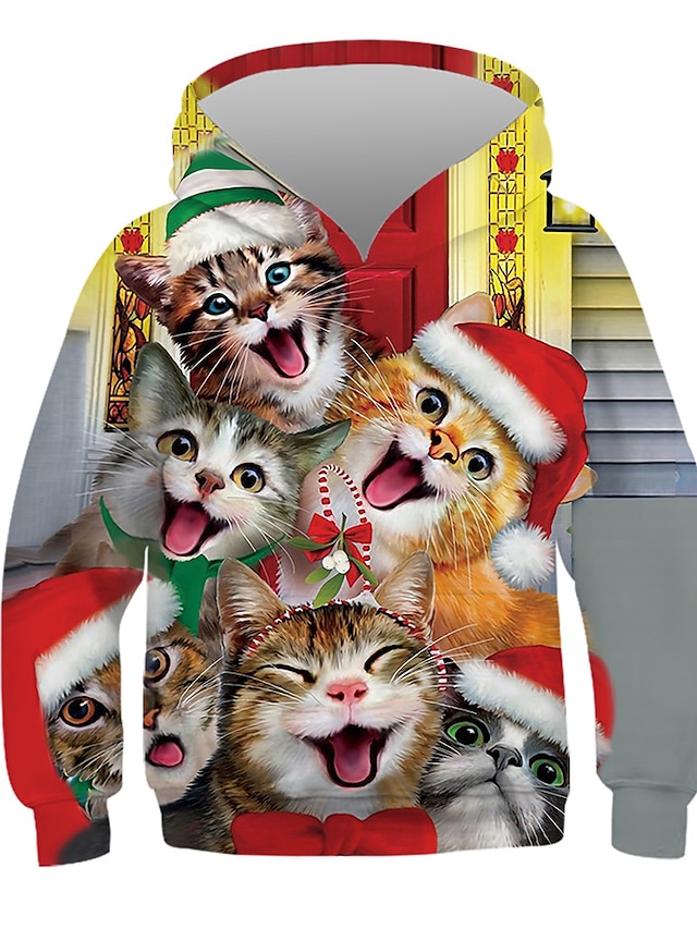  Kids Boys' Hoodie & Sweatshirt Long Sleeve Rainbow Cat Print Cat Animal Active
