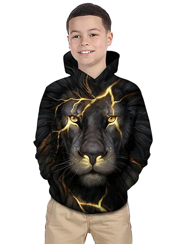  Kids Toddler Boys' Hoodie & Sweatshirt Long Sleeve Lion Print Color Block Geometric 3D Print Black Children Tops Active Basic Christmas
