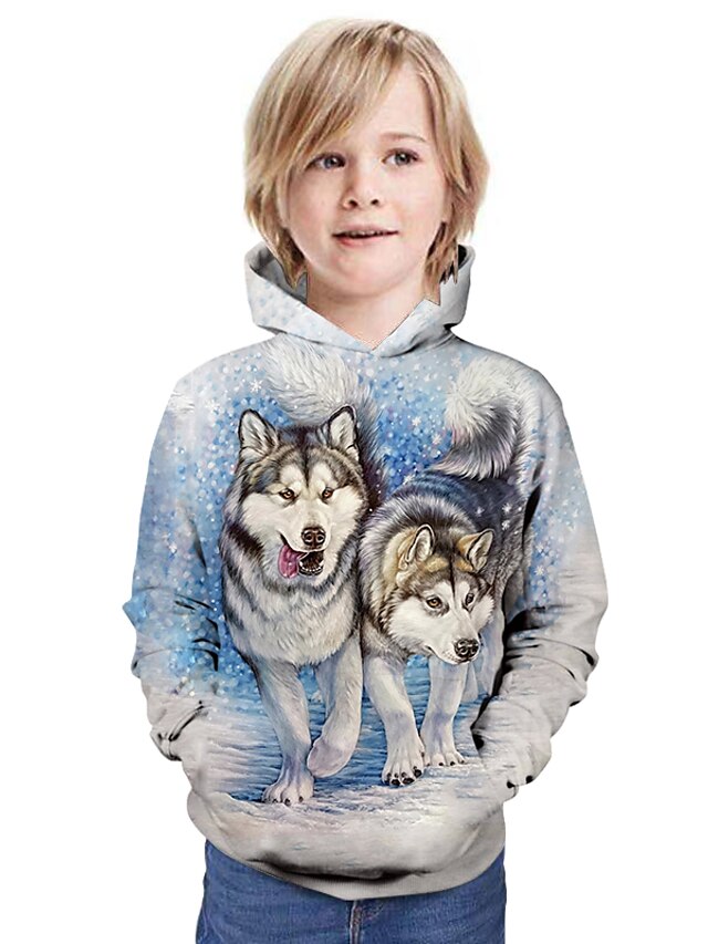  Boys 3D Animal Hoodie & Sweatshirt Long Sleeve 3D Print Summer Active Polyester Kids 3-13 Years Daily Wear Regular Fit