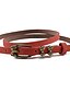 cheap Belts-Women&#039;s Skinny Belt Red Blue Casual Daily Holiday Belt Solid Colored / Party / Cute / Work / Leather / Green