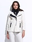 cheap Jackets-Women&#039;s Color Block Fall Jacket Regular Daily Long Sleeve Rayon Coat Tops Black
