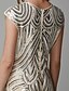 cheap Elegant Dresses-Sheath / Column Roaring 20s Dress Party Wear Asymmetrical Short Sleeve Jewel Neck Polyester with Sequin Tassel 2022