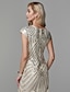 preiswerte Elegantes Damenkleid-Eng anliegend Brüllen 20s Kleid Partykleidung Asymmetrisch Kurzarm Schmuck Polyester mit Paillette Quaste 2022
