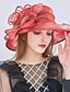 cheap Hats-Women&#039;s Party Hat Beaded Ruffle Party Street Holiday Wine Pink Pure Color Hat / Fall / Winter / Spring / Summer / Mesh
