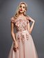 cheap Evening Dresses-A-Line Elegant Formal Dress Prom Formal Evening Sweep / Brush Train Sleeveless Off Shoulder Tulle Over Lace with Beading Appliques 2025