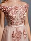 cheap Evening Dresses-A-Line Elegant Formal Dress Prom Formal Evening Sweep / Brush Train Sleeveless Off Shoulder Tulle Over Lace with Beading Appliques 2025