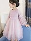 cheap Girls&#039; Dresses-Kids Little Dress Girls&#039; Daily Tulle Dress Mesh Lace Blushing Pink White Long Sleeve Sweet Dresses Fall Spring