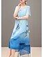 baratos Mother Dresses-Mulheres Vestido em Chiffon Manga Curta Floral Estampado Verão Tamanhos Grandes Temática Asiática Para Noite Azul Vermelho M L XL XXL 3XL