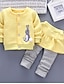 billige Tøjsæt til piger-Baby Pige Basale Daglig Ensfarvet Farveblok Patchwork Langærmet Normal Tøjsæt Rød Gul Lyserød