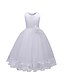 cheap Girls&#039; Dresses-Kids Little Dress Girls&#039; Solid Colored Flower Daily Tulle Dress Lace Layered White Purple Red Sleeveless Basic Dresses 3-12 Years