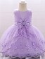 cheap Girls&#039; Dresses-Baby Girls&#039; Active Dress Cotton Party Birthday Christening Blue Pink Lavender Floral Lace Mesh Sleeveless Knee-length / Summer