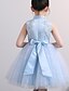 cheap Girls&#039; Dresses-Girls&#039; Sleeveless Solid Colored 3D Printed Graphic Dresses Basic Dress Kids