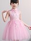 cheap Girls&#039; Dresses-Girls&#039; Sleeveless Solid Colored 3D Printed Graphic Dresses Basic Dress Kids